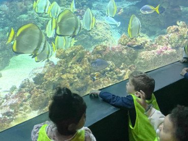 enfant-aquarium
