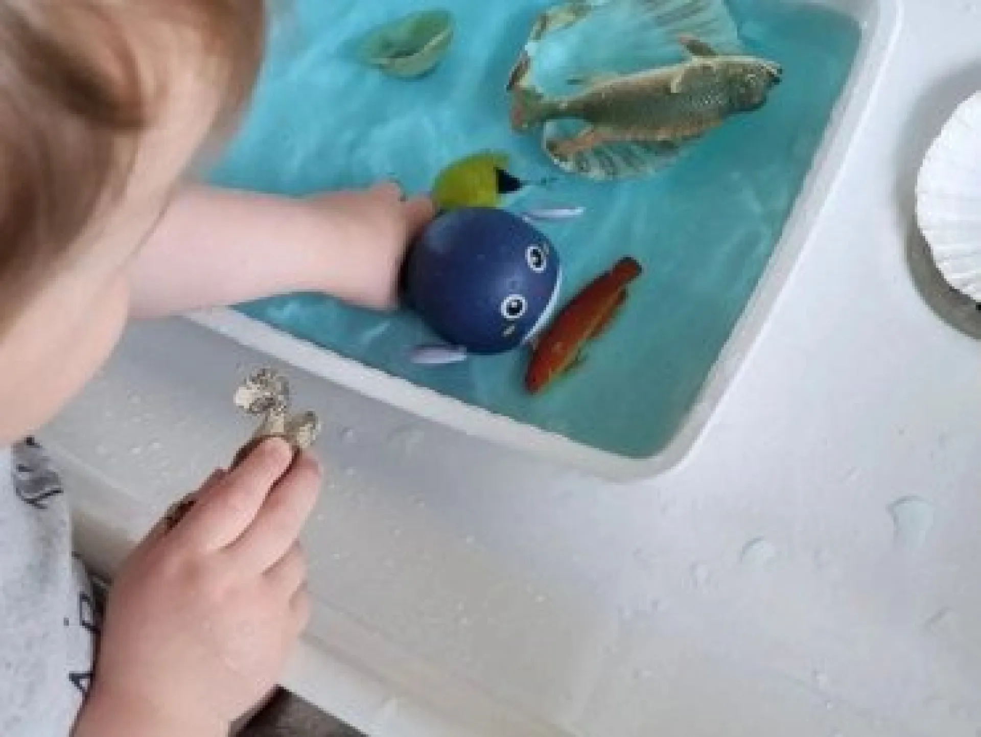 jeu-bassine-eau