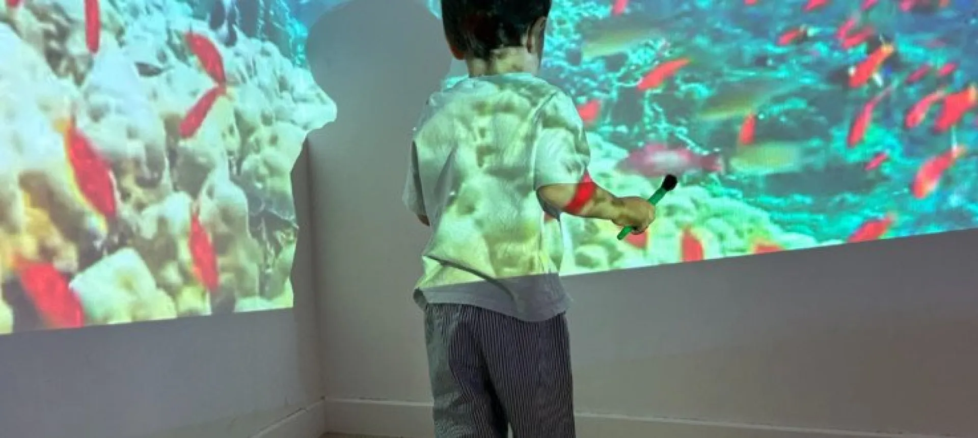 projection-mur-ocean