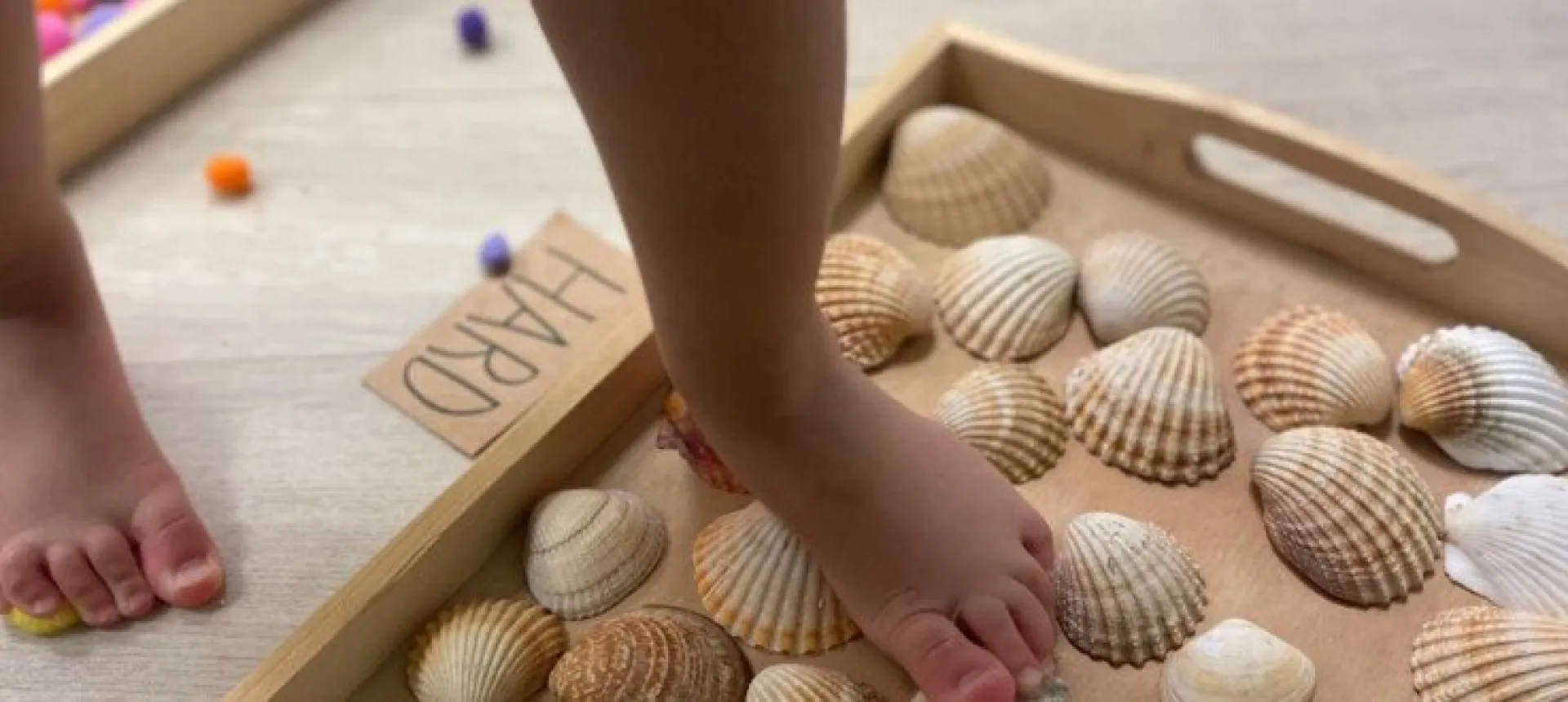 pied-enfant-coquillages