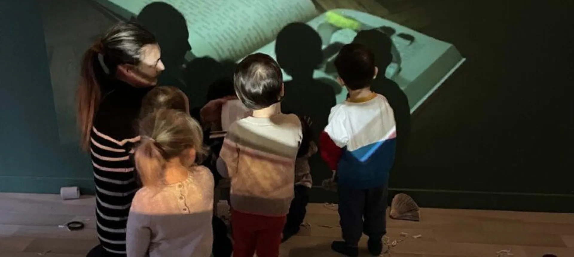 projection-livre-mur