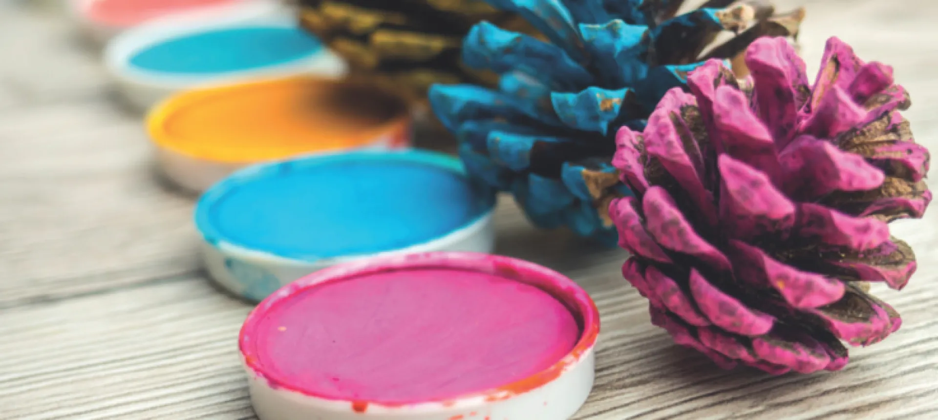 atelier-enfant-peinture-pomme-pin V2