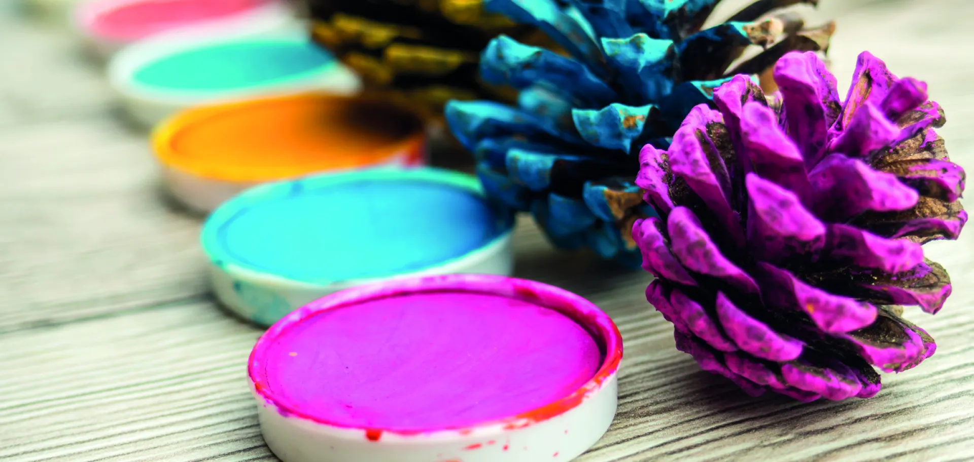 atelier-enfant-peinture-pomme-pin