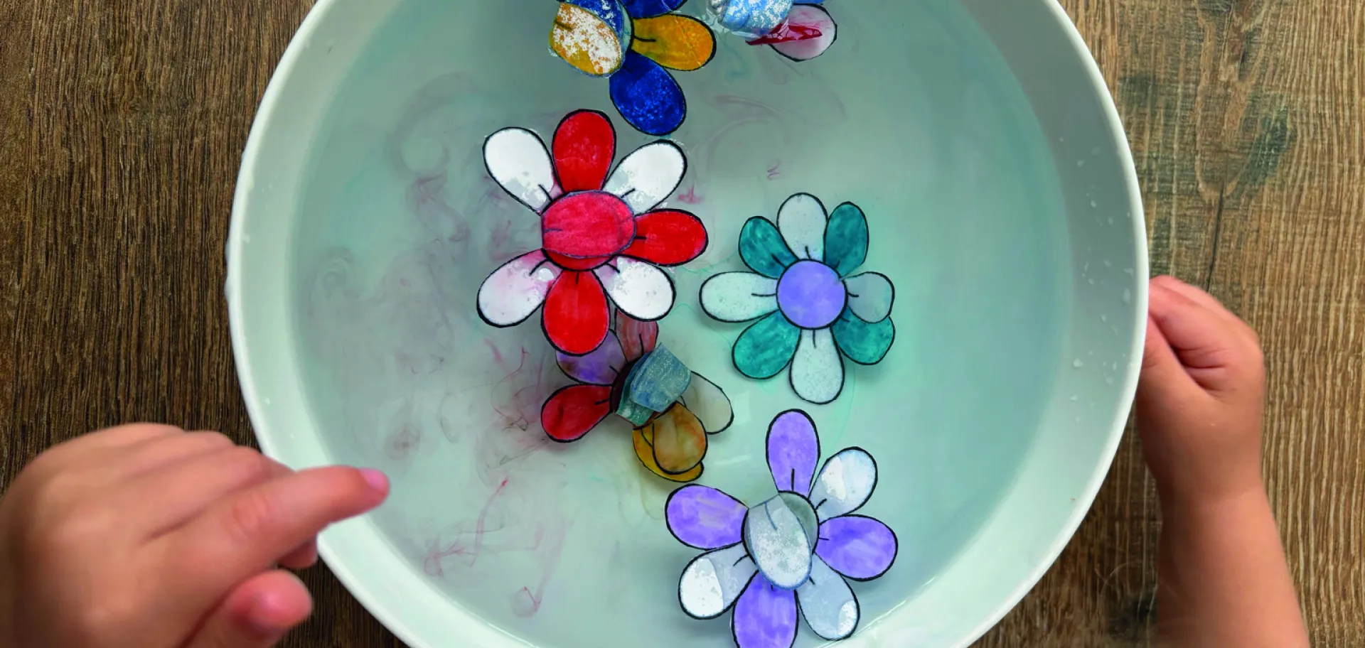 enfant posant des fleurs sur un carton