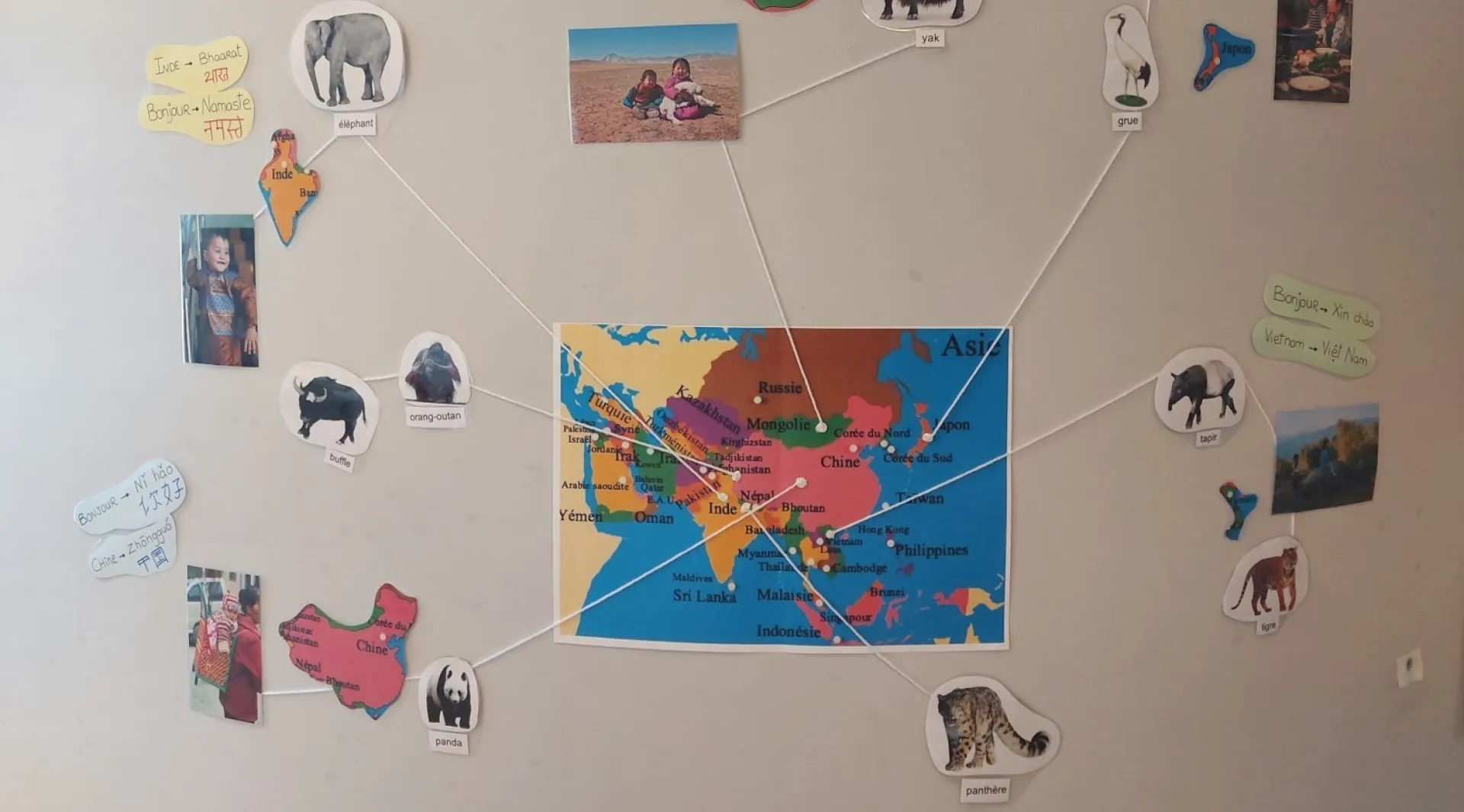 carte-asie-animaux