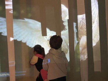 creche-mois-en-fete-lumiere