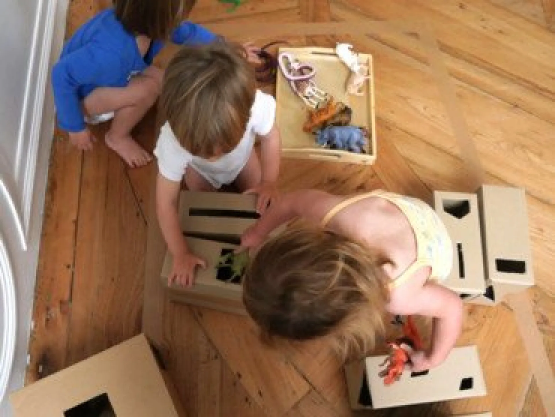 boite-fente-et-animaux-carton