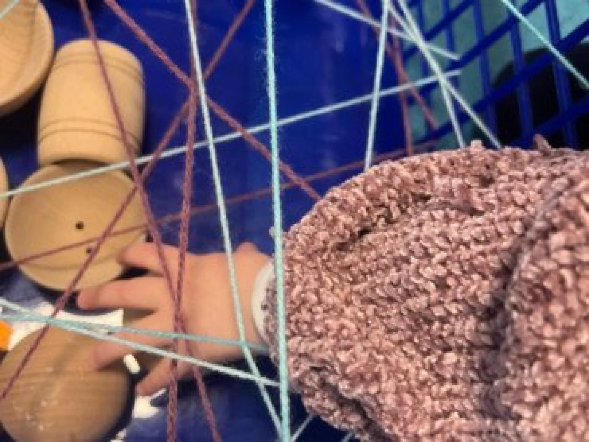 Enfant dans toile d'araignée en laine