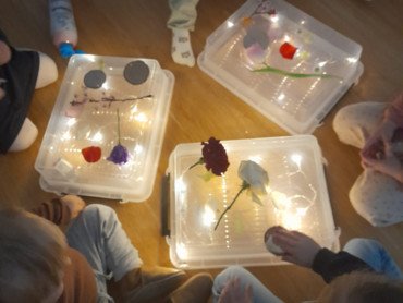 boite-lumineuse-fleurs